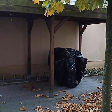 Heinrich-Heine-Strasse App 09 - Parkblick Leilighet Rostock Eksteriør bilde
